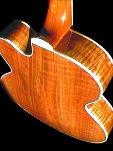 Guitar Luthier